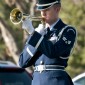 Bugler